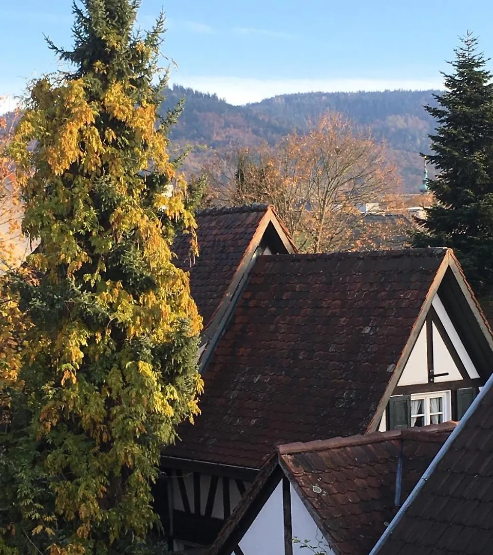 Hotel Die Gruene Bettlad Boutique-Hotel Bühl